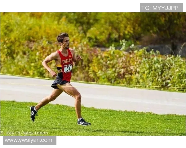 提升运动表现 专业球星足球训练裤助力你突破极限 提升运动表现 专业球星足球训练裤助力你突破极限